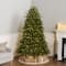 7ft. Pre-Lit Dunhill® PowerConnect™ Fir Artificial Christmas Tree, Dual Color® LED Lights